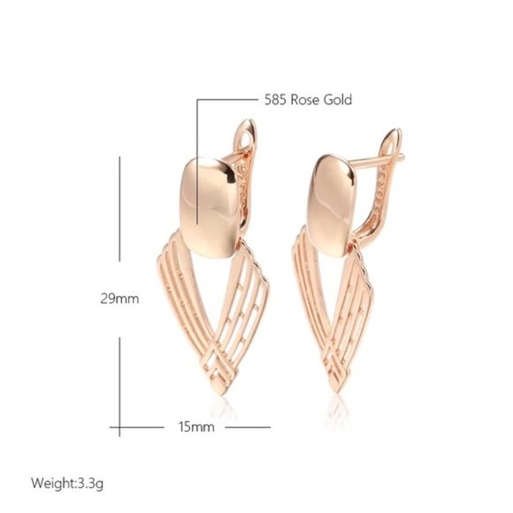 585 Rose Gold Plated Geometry Hollow Earrings - Picture 9 of 9